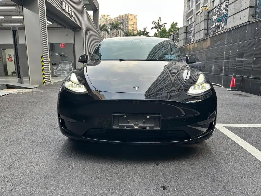 Tesla Model Y — фото 3