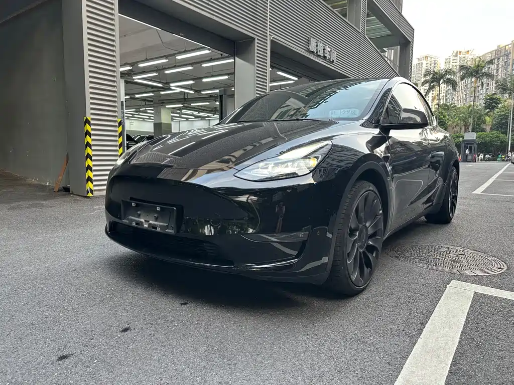 Tesla Model Y — фото 4