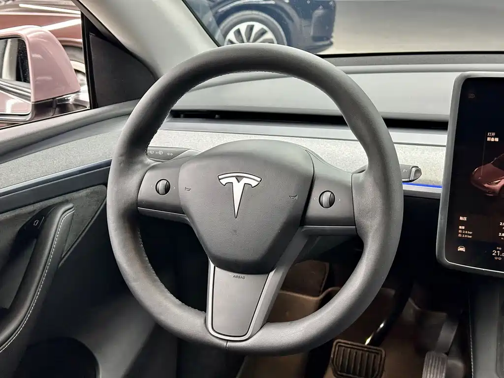 Tesla Model Y — фото 11