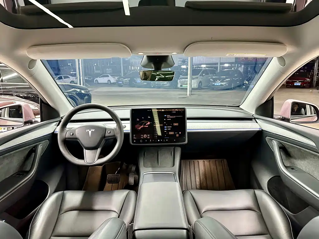 Tesla Model Y — фото 14