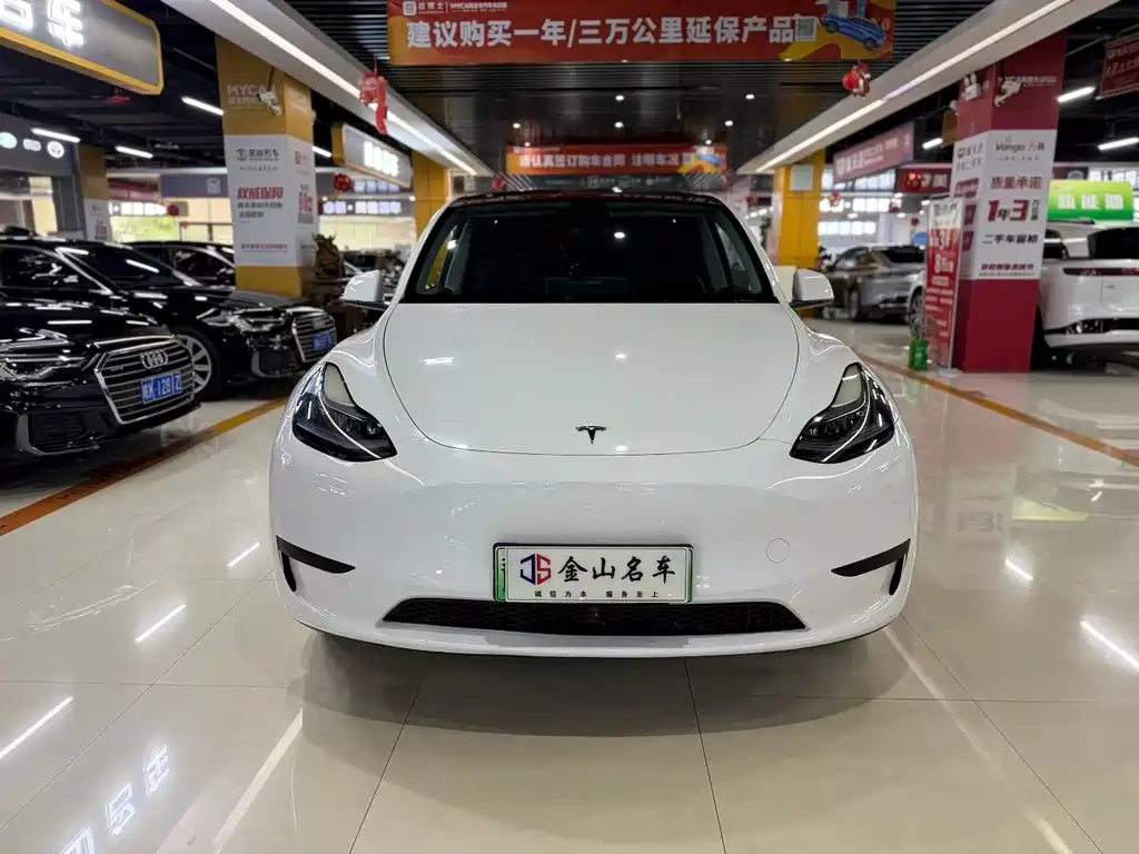 Tesla Model Y — фото 2