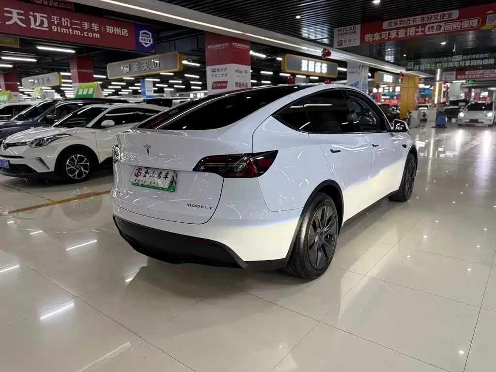Tesla Model Y — фото 9