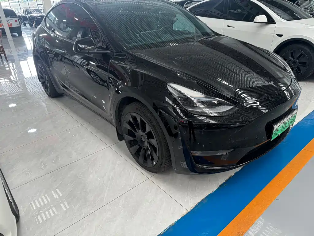 Tesla Model Y — фото 3