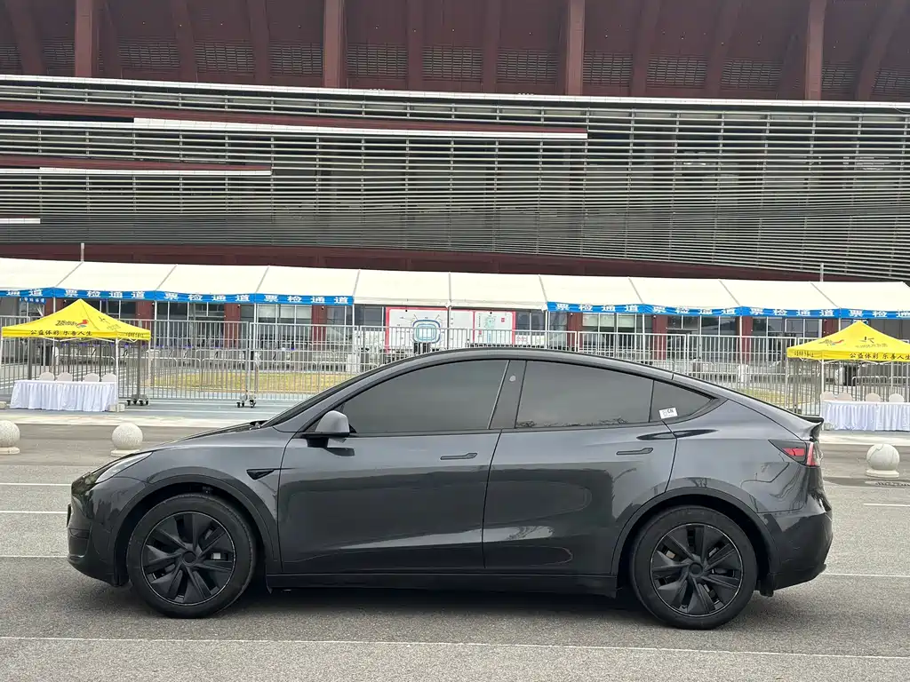 Tesla Model Y — фото 2