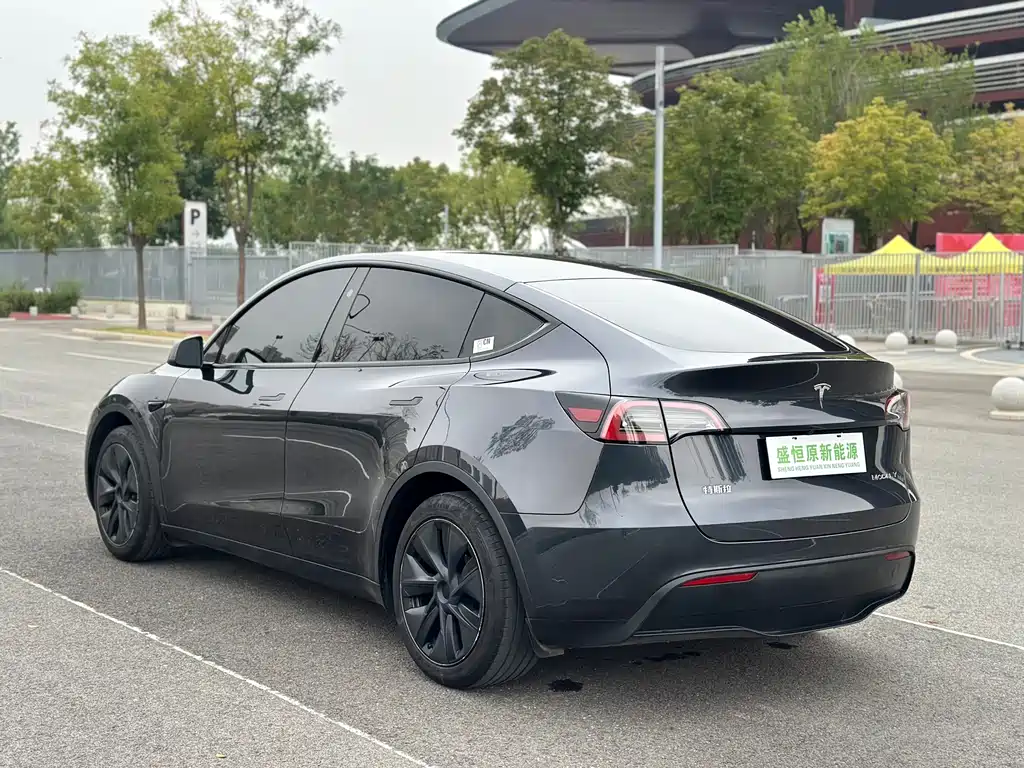 Tesla Model Y — фото 17