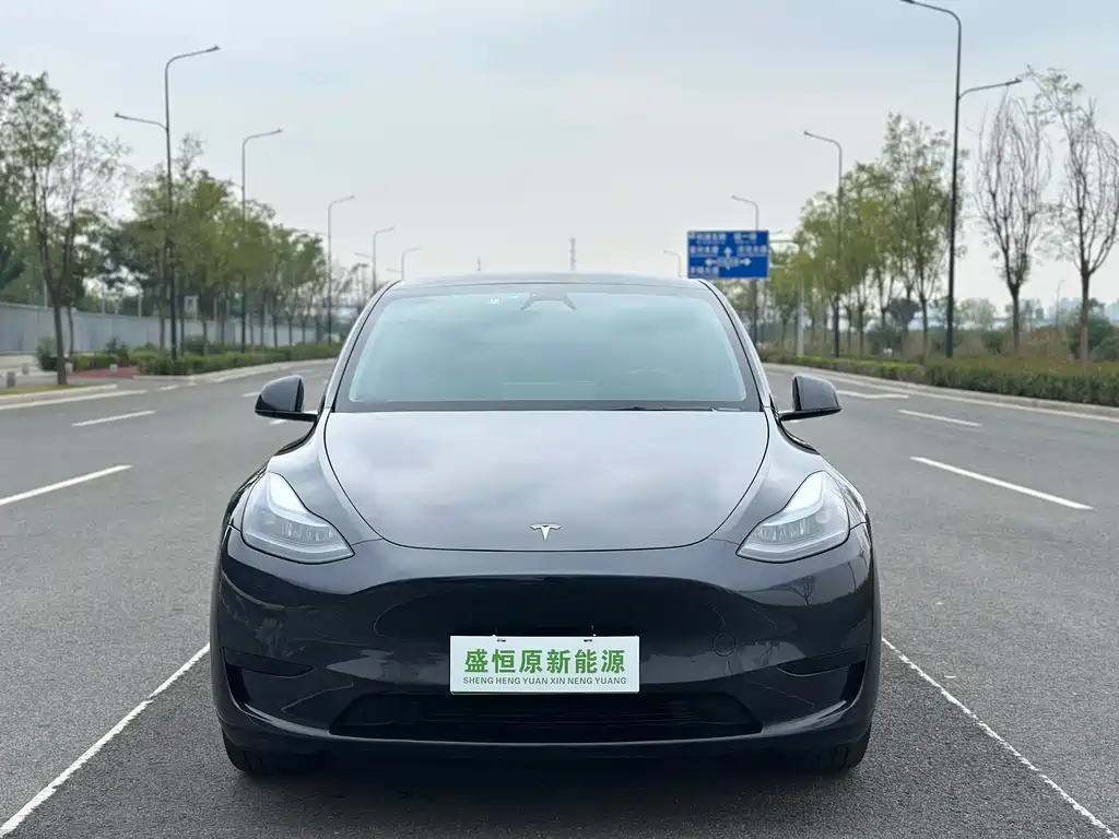 Tesla Model Y — фото 9