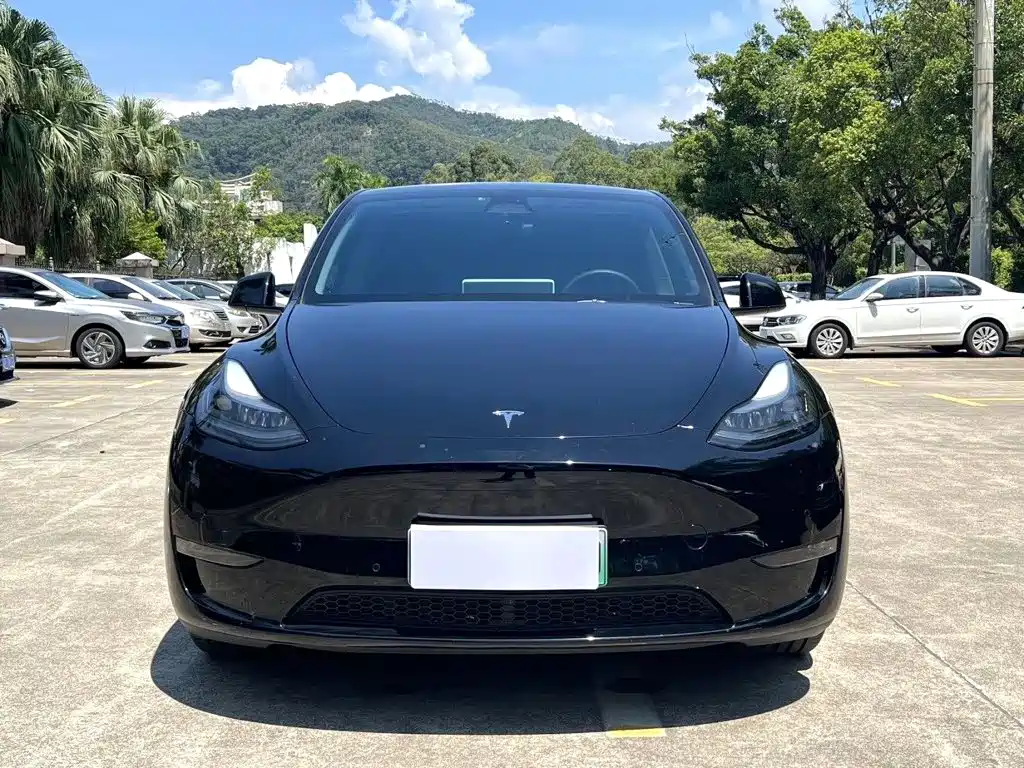 Tesla Model Y — фото 2
