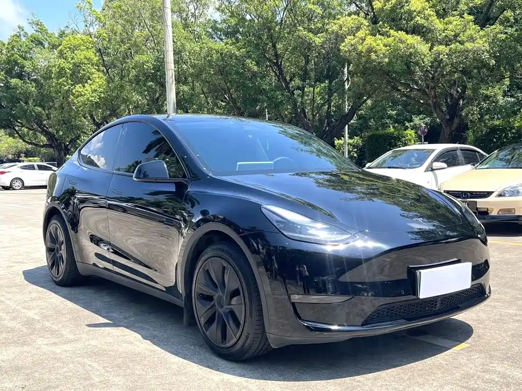 Tesla Model Y — фото 3