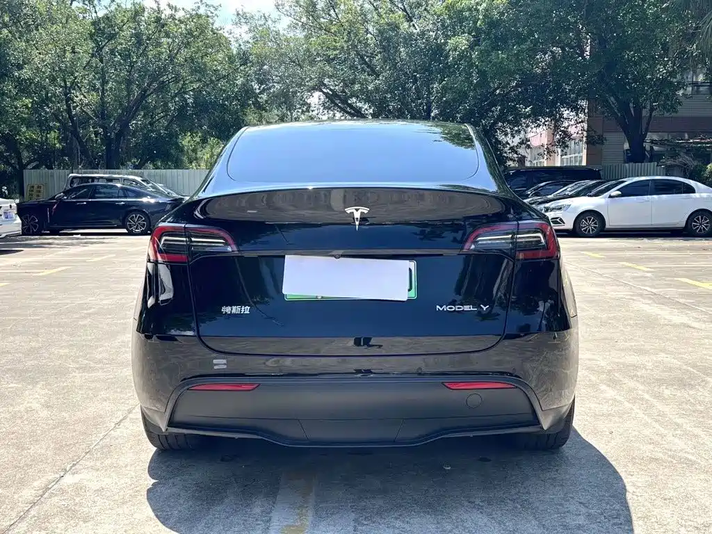 Tesla Model Y — фото 8