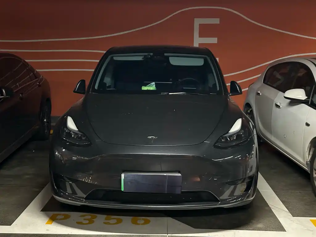 Tesla Model Y — фото 2