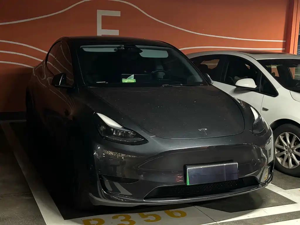 Tesla Model Y — фото 3