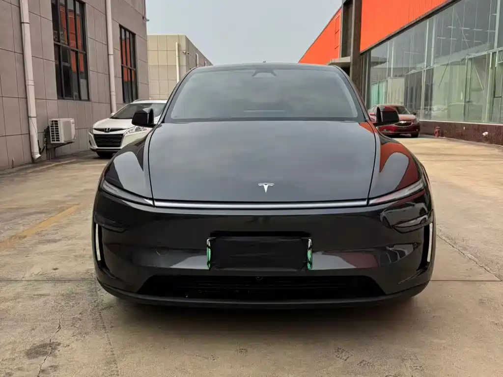 Tesla Model Y — фото 2