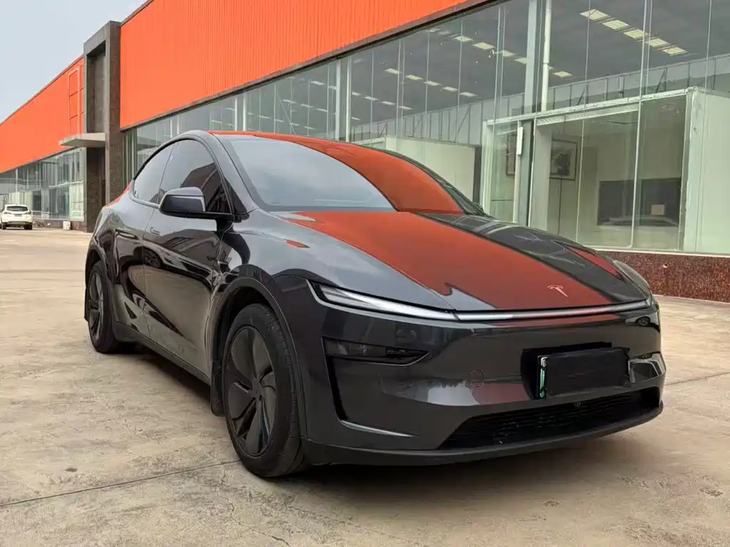 Tesla Model Y — фото 3