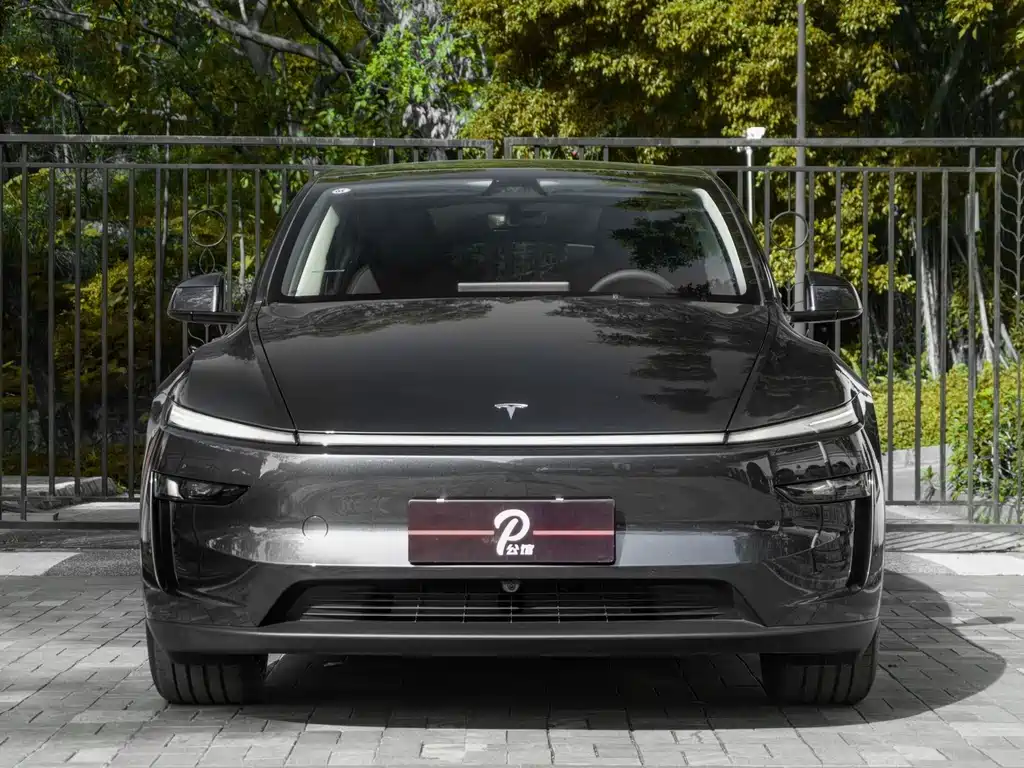 Tesla Model Y — фото 2