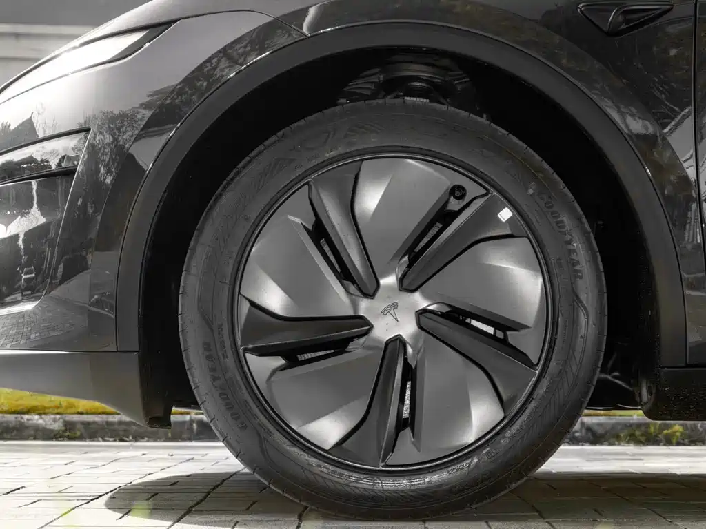 Tesla Model Y — фото 18
