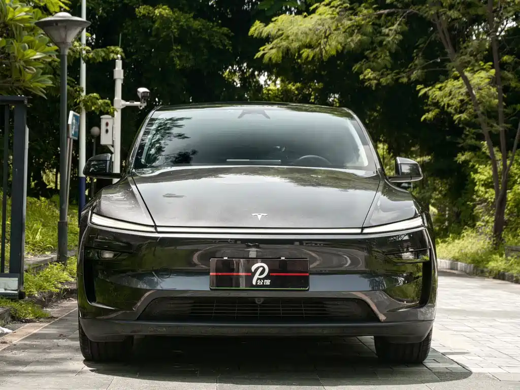 Tesla Model Y — фото 2