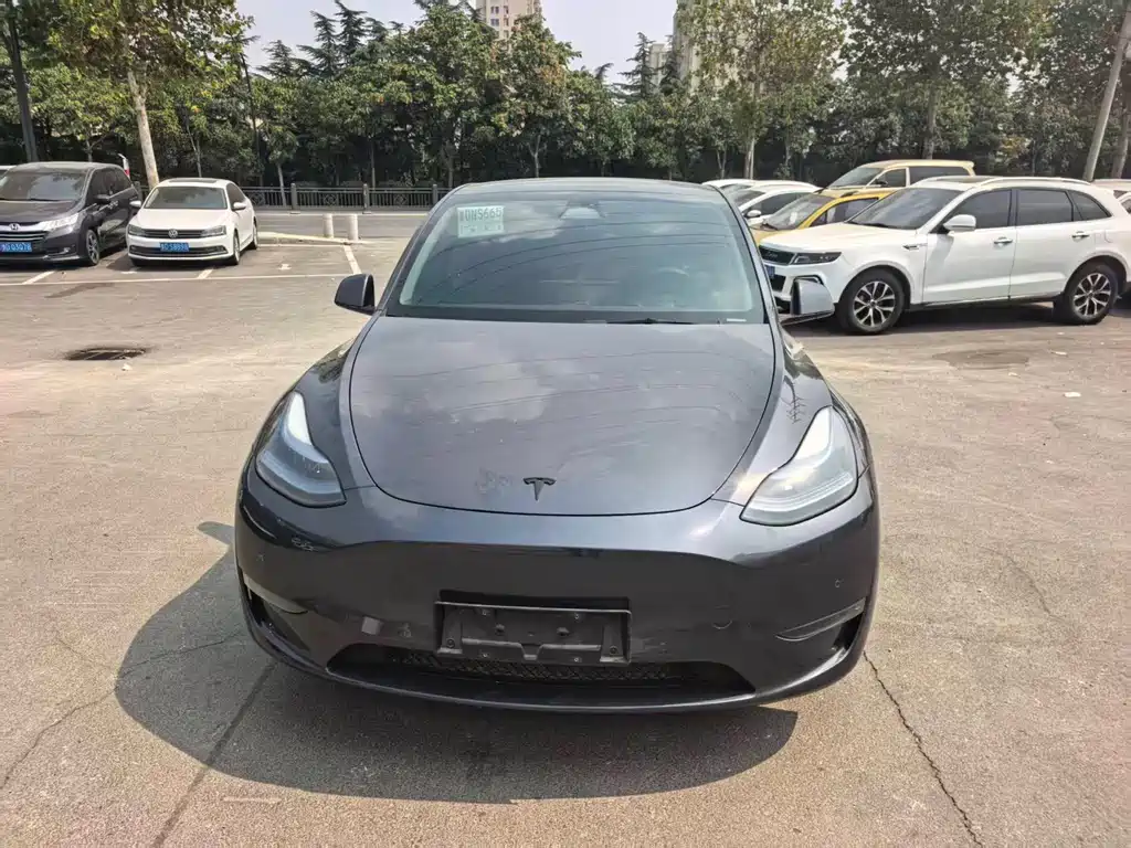 Tesla Model Y — фото 2