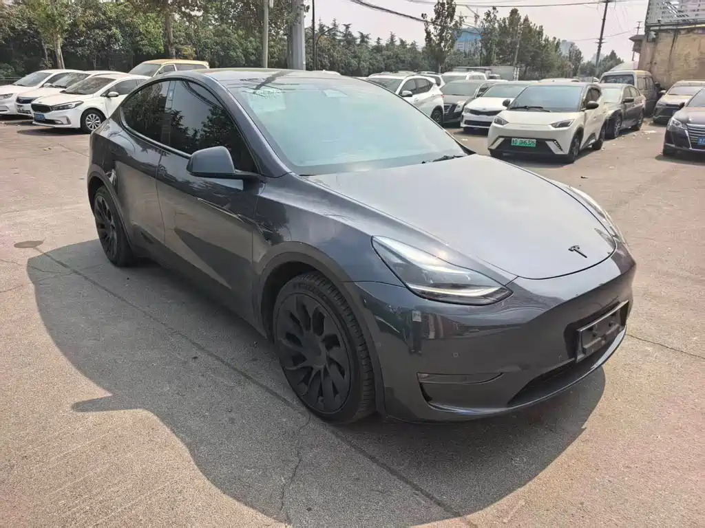 Tesla Model Y — фото 3