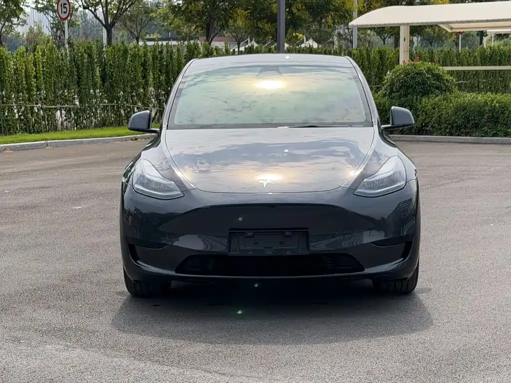 Tesla Model Y — фото 2