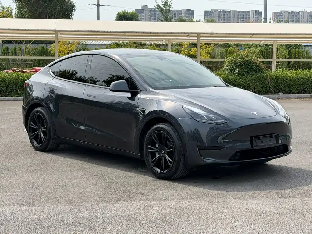 Tesla Model Y — фото 3