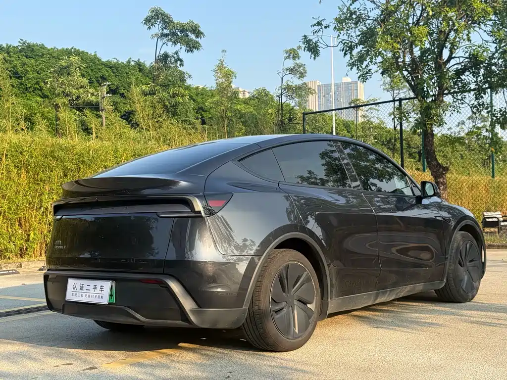 Tesla Model Y — фото 11