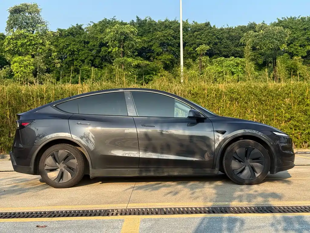 Tesla Model Y — фото 14