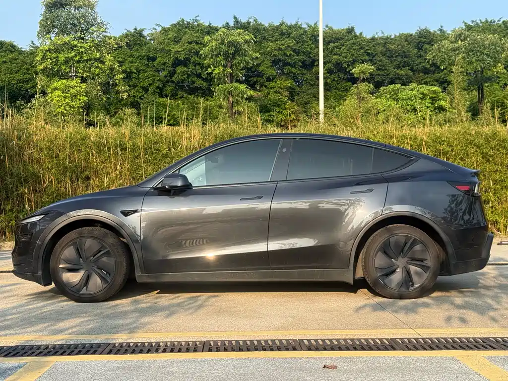 Tesla Model Y — фото 15
