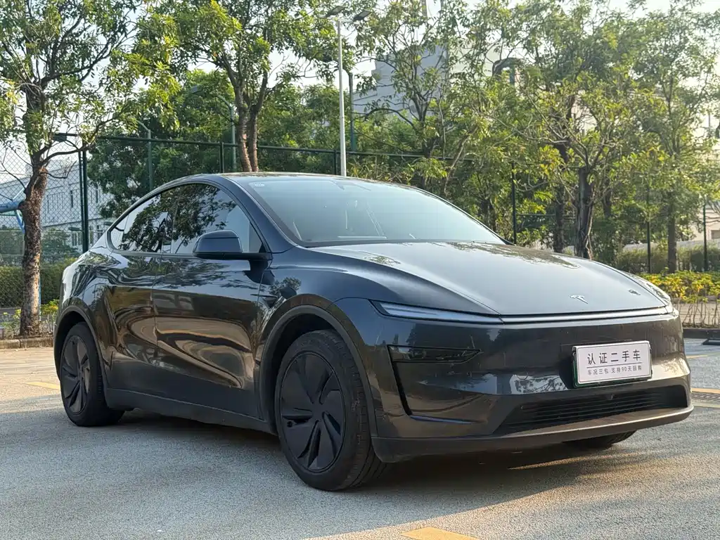 Tesla Model Y — фото 3