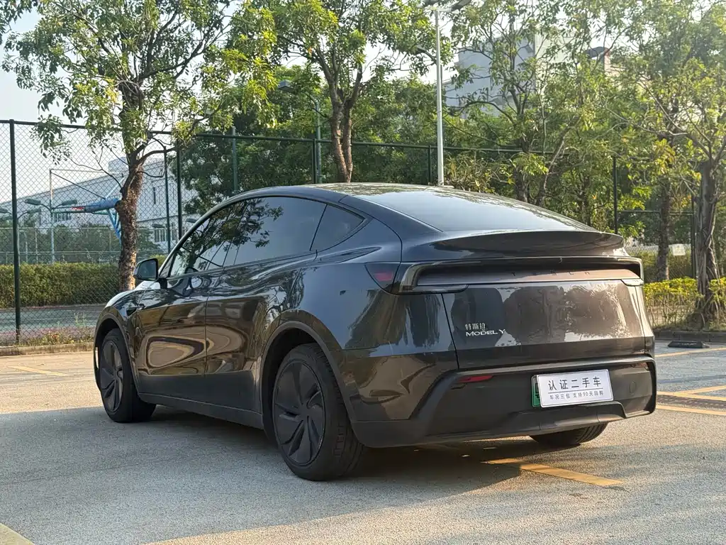 Tesla Model Y — фото 9