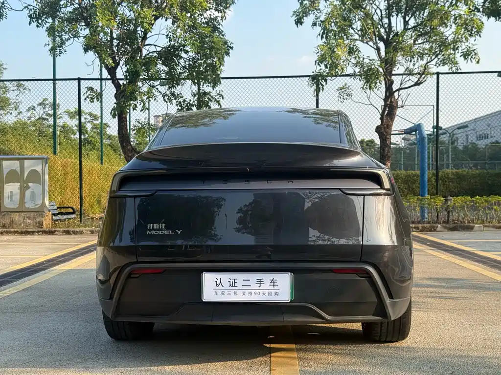 Tesla Model Y — фото 10