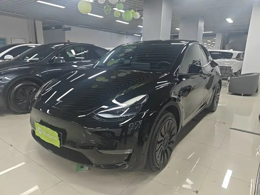Tesla Model Y — фото 2