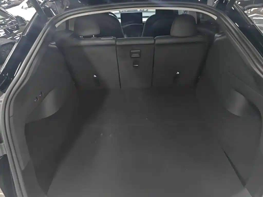 Tesla Model Y — фото 19