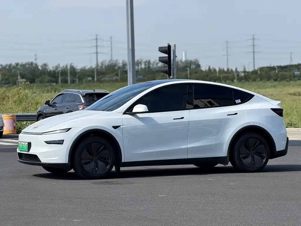 Tesla Model Y — фото 10