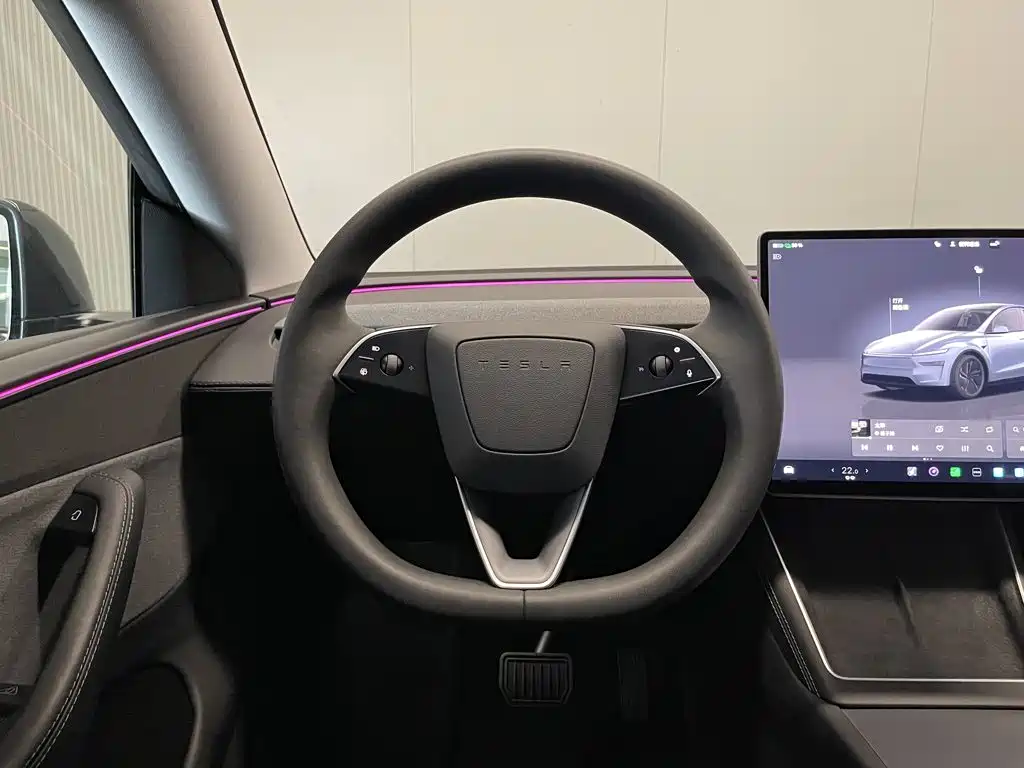 Tesla Model Y — фото 14