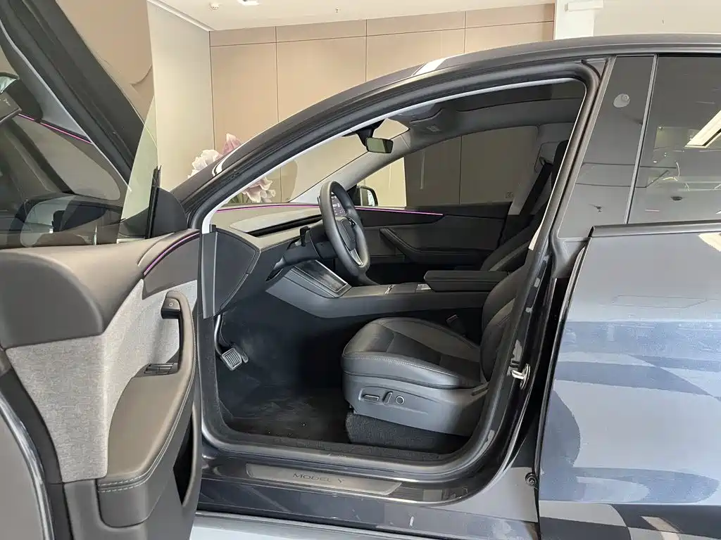 Tesla Model Y — фото 17