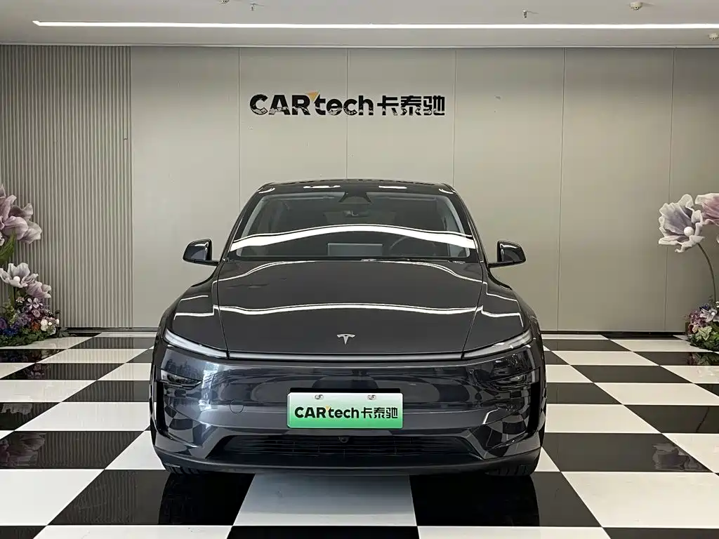 Tesla Model Y — фото 3