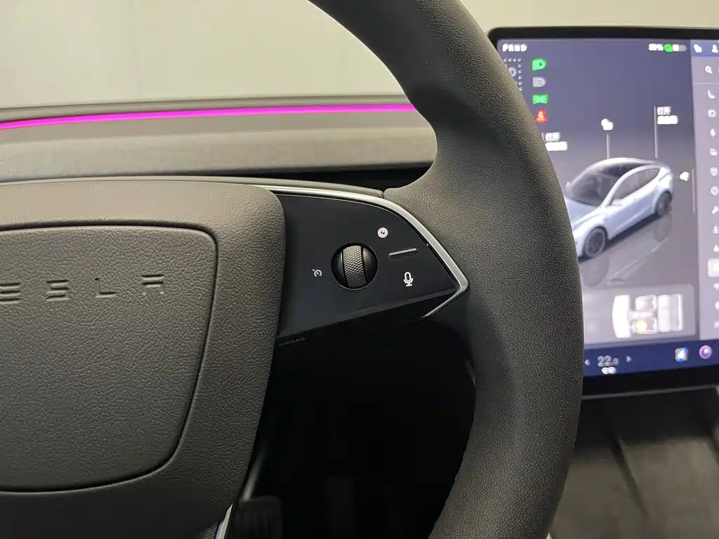 Tesla Model Y — фото 22