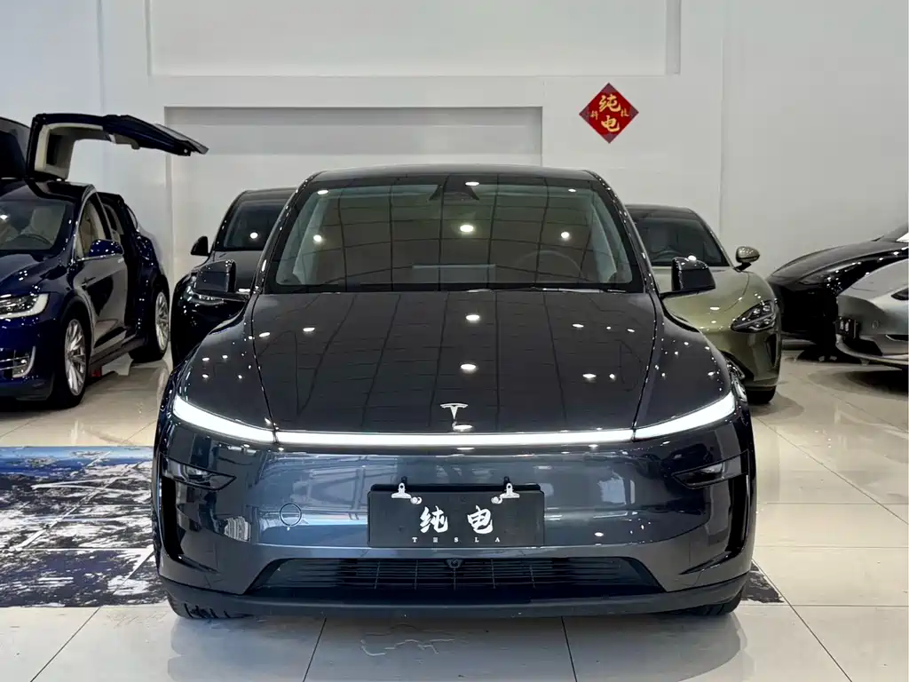 Tesla Model Y — фото 2