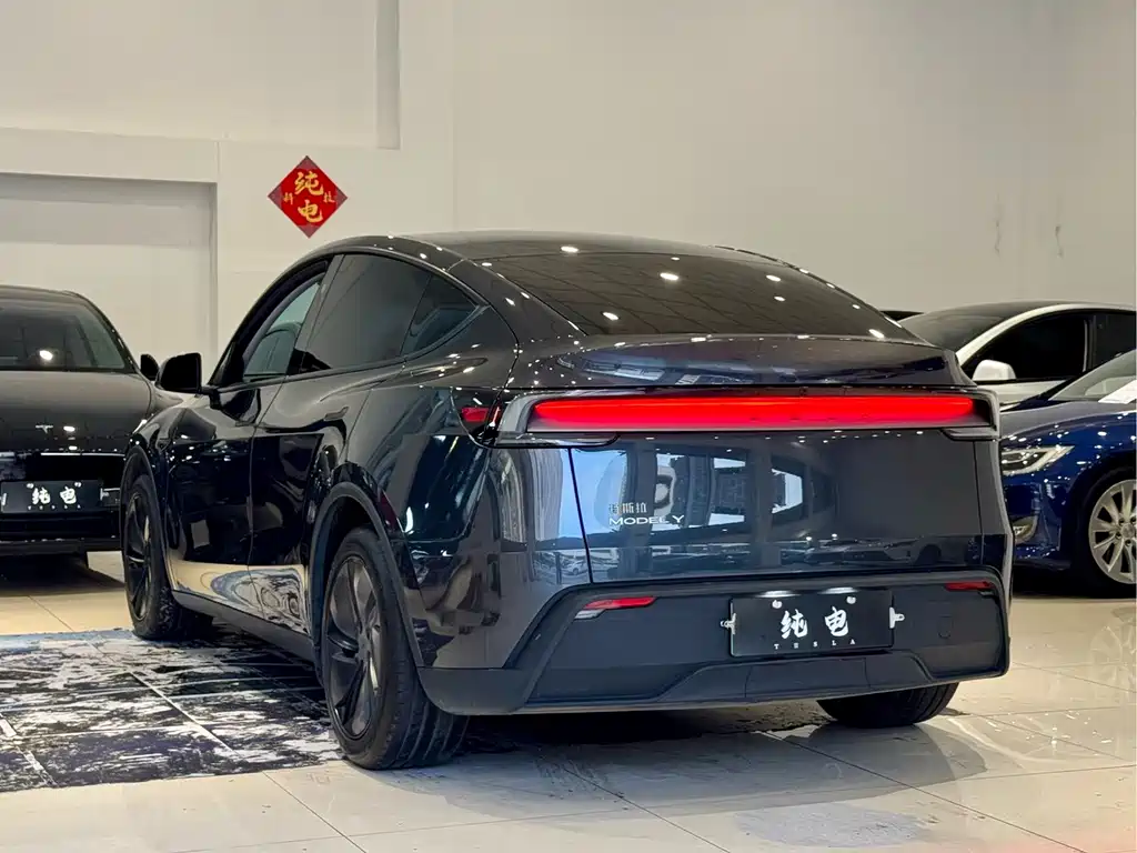 Tesla Model Y — фото 13