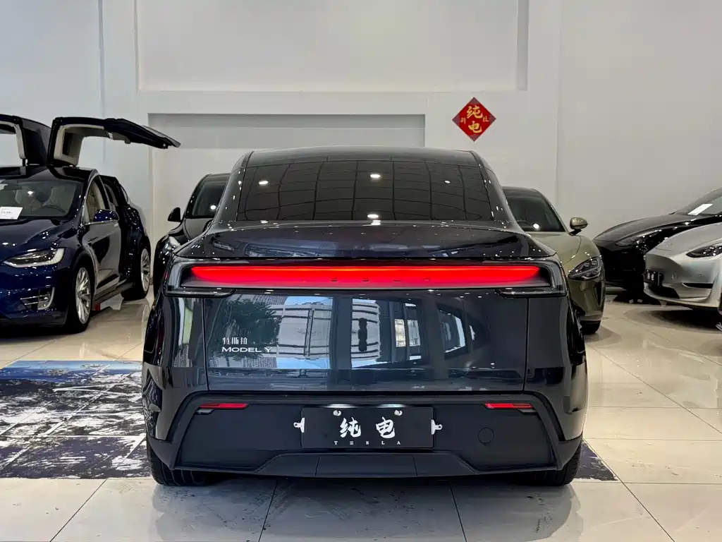 Tesla Model Y — фото 14