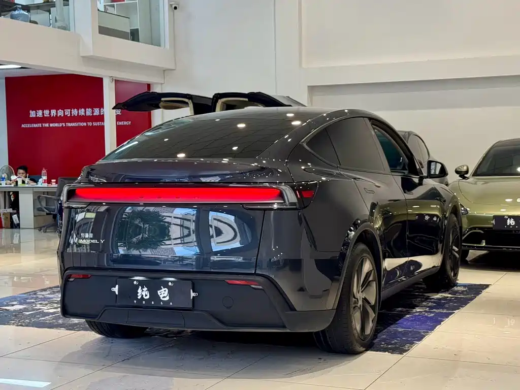 Tesla Model Y — фото 15