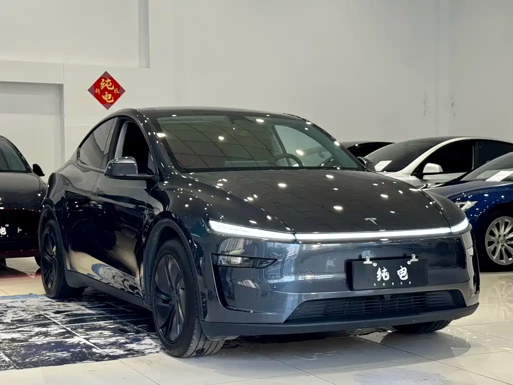 Tesla Model Y — фото 3