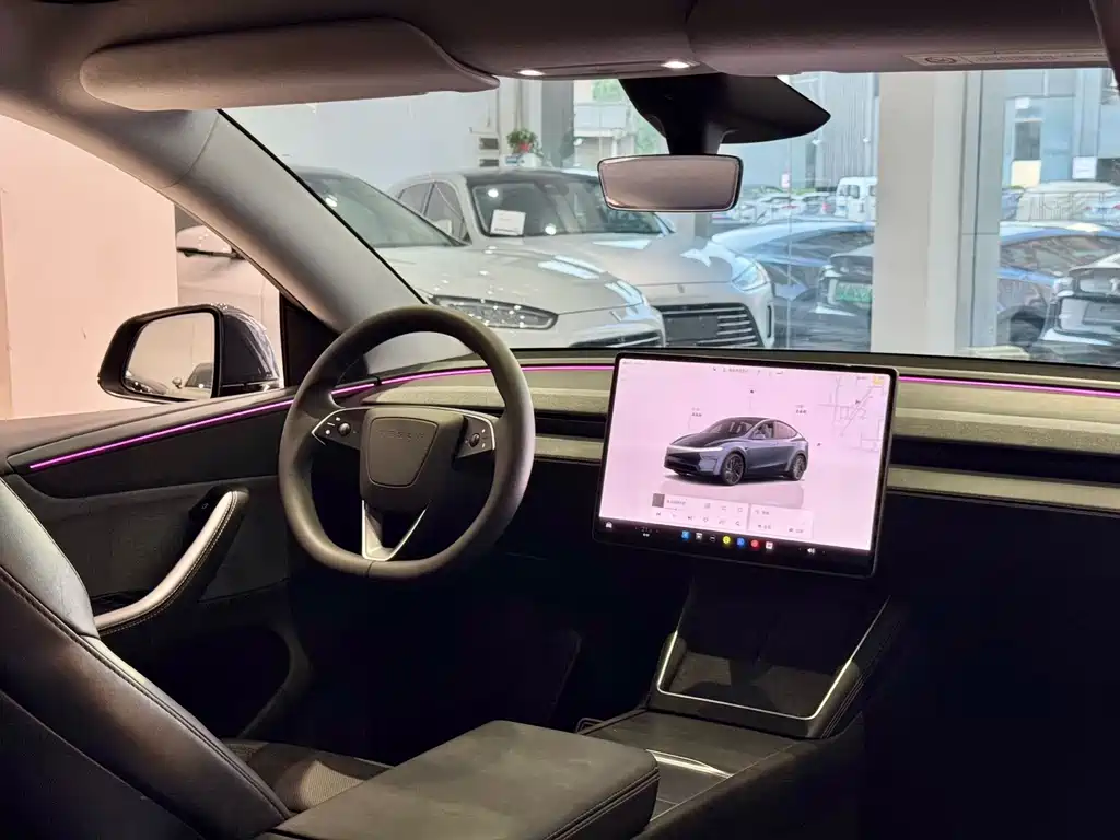 Tesla Model Y — фото 8