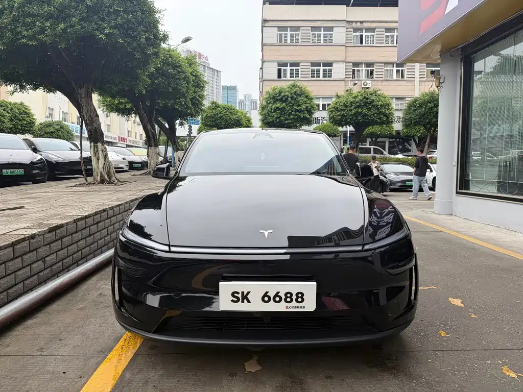 Tesla Model Y — фото 2