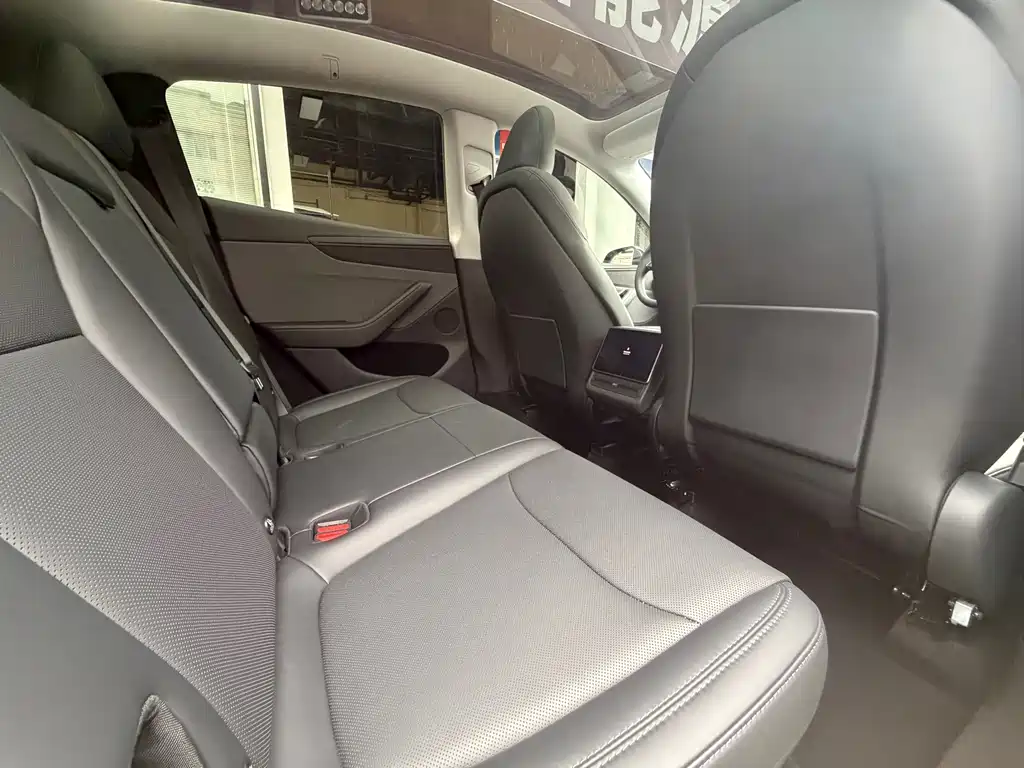 Tesla Model Y — фото 11