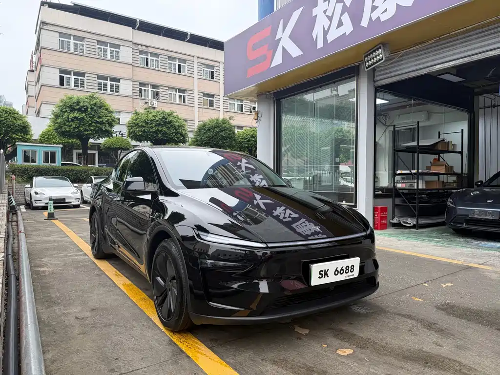 Tesla Model Y — фото 3