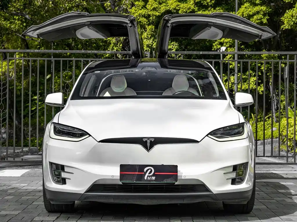 Tesla Model X — фото 2