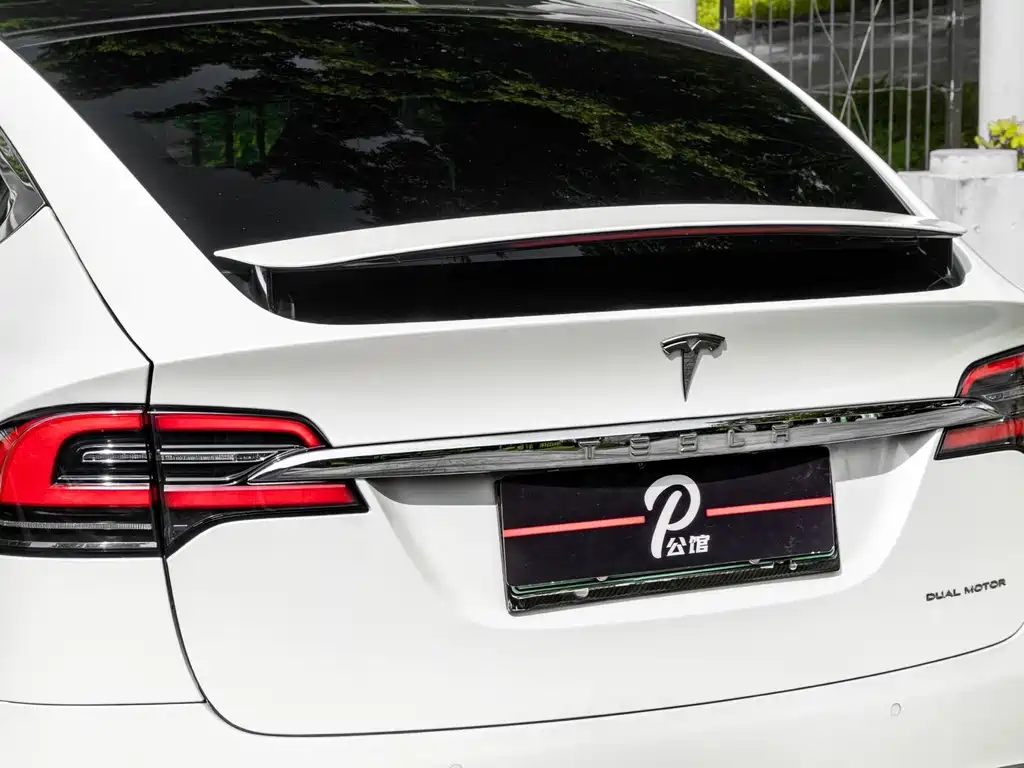 Tesla Model X — фото 8