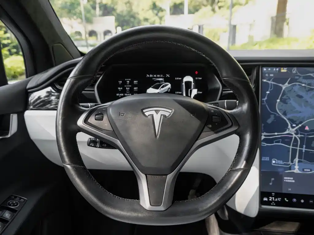 Tesla Model X — фото 10