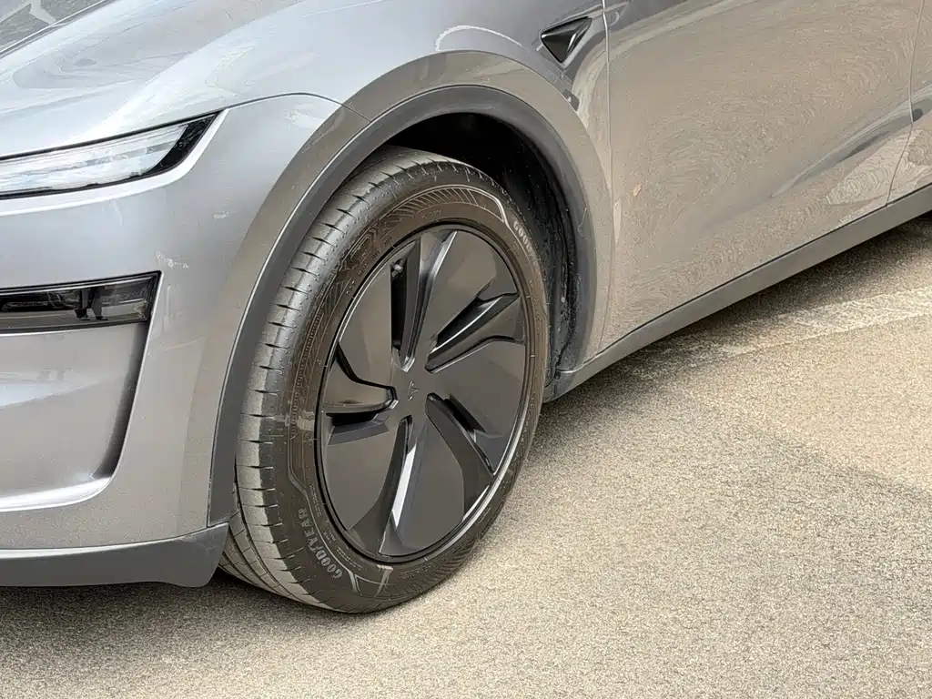 Tesla Model Y — фото 9